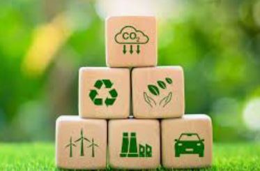 أكياس شفافة